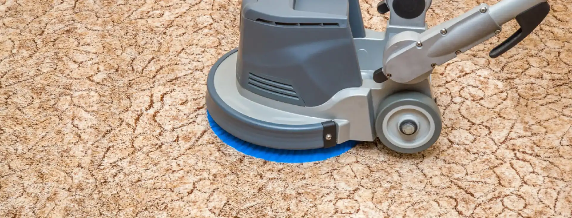 Carpet and Rug Cleaning